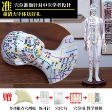 한의학 침술 전신 모형 기자재 침자리 과학실 혈자리 인체 교육용 실습 한의원, 화이트 여성(52cm)