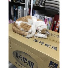 窗簾坊 各式窗飾 樣本眾多, 詳見包裝