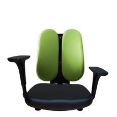 체어민 CM006 국산 5단 높이조절 팔걸이 좌식의자 듀얼 등받이 기본형 발포방석, 05.그린_가죽(006BK19GR)