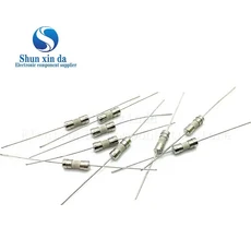 20PCS 3*10mm 3.6*10mm FUES 250V T F F100mA 0.1A 0.5A 1A 2A 3A 3.15A 시간 지연 고속 작동 퓨즈 리드 와이어 4A 5A 6.3A, F10A