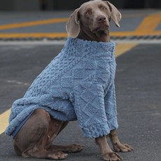 대형견 래브라도 골든 리트리버 사츠마 양면 두꺼운 겨울옷 배 보호 잠옷, 1개, 타프 플리스 블루