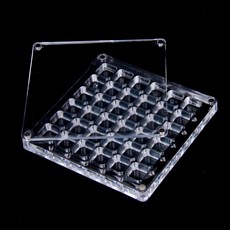 케이스 돌반지 콩알금 36구