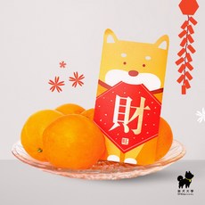 柴犬大學 柴犬紅包袋(一包6入) 萌柴紅包袋 創意紅包袋 柴柴 柴犬周邊 新年必備 過年必備 新年週邊, 1個