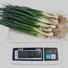 [농수산 장터] 보성 흙쪽파 보냉박스 출고, 300g, 1개