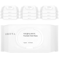 생활공작소 비데물티슈 베이직 캡형, 70g, 100매입, 10개
