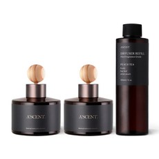 [1+1+1] 에이센트 차량용 디퓨저 120ml 2구 + 리필 200ml 기획세트, 1세트, 피치티