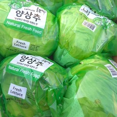 클릭마켓 국내산 포장 양상추 샐러드용, 4개, 350g