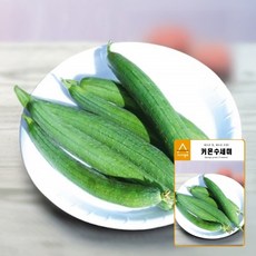 아시아 커몬 수세미 씨앗 30립, 1개