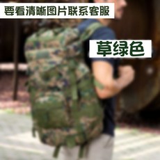 守護者60升行囊包 徒步旅行大容量行李登山雙肩包, 草綠迷彩,60L左右