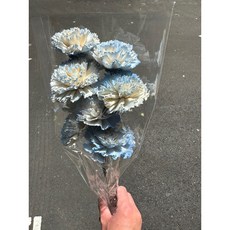 花藝夢 日本大地農園 32764系列 4公分索拉花康乃馨 - 母親節永生花原裝進口, 水藍色（10支）