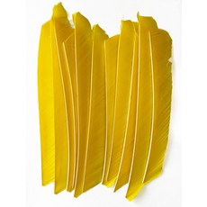 18-25CM 양궁 Fletching 화살 깃털 여러 가지 빛깔의 전체 길이 컷 없음 진짜 칠면조 DIY 샤프트 50 개, 01 yellow, 1개
