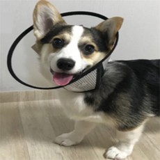 하루 애완용목보호대프로텍션커버 목쿠션, 7호