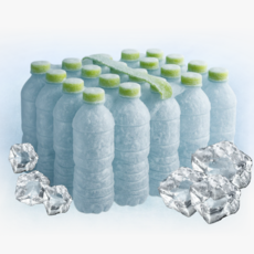 꽁꽁 얼린생수 얼린물 얼음물, 20개, 500ml