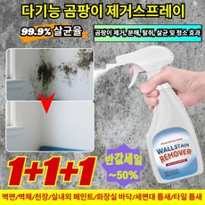 1+1+1[닦을 필요 없는]다기능 곰팡이 제거 스프레이 벽지 곰팡이제거제 99.9% 살균율 벽면/벽체/천장, [1+1](2병)300ML*2