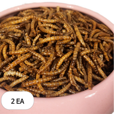 내츄럴한 진공 건조 밀웜 리필, 100g, 2개