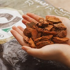 葡萄牙樹皮 - 爬蟲箱墊材，天然無毒，模擬自然棲息地，適用於蜥蜴、蛇類, 1個, 葡萄牙Alfarroxo樹皮 (極大粒),1 公升 (超取最多12包)