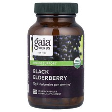 가이아허브 블랙 엘더베리 아세로라 추출물 삼부커스 Black Elderberry 120정, 1개