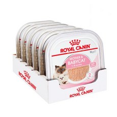 로얄캐닌 캣 습식사료 고양이 습식사료 소프트무스 트레이(100g) 캔X6개, 닭, 100g, 6개