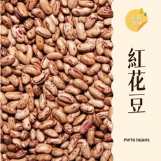 紅花豆 600g, 1個