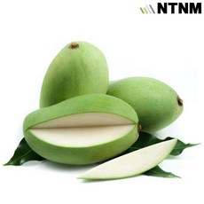 엔티몰 태국 그린망고 (Thailand Green Mango), 1.5kg, 1박스
