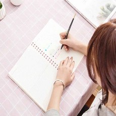 파스텔 체크식탁보 방수식탁보 테이블보 식탁매트 캠, 방수체크식탁보 민트152X137