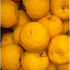 고흥유자 유자 생유자 3kg 5kg 10kg 소과 중과 대과 특과 못난이, 1박스, 5kg / 못난이(무선별)
