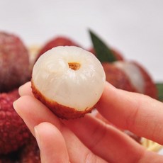 냉동과일 리치, 2개, 1kg