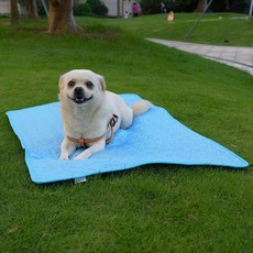 펫 냉감 아이스 패드 강아지 고양이 쿨매트 쿨링 매트 실크 반려동물 시원하게 키우기 침대 케넬 소파 바닥 카시트용 세탁기 M24'' x 20'', S-20'' × 16''
