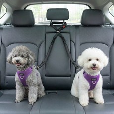 레인보우캣 강아지 차량용 더블 안전벨트 반려동물 안전벨트 2견용, 1개, 버클