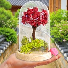 스칸디아모스 화분 만들기 아크릴돔 원예 키트 만들기재료 노인 중학생 어르신 diy, 모스 아크릴 돔 장식 만들기(P0000EDH)