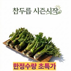 탱글이네 국내산 참두릅 산 산지직송 봄나물 제철 향긋, 1개, 500g