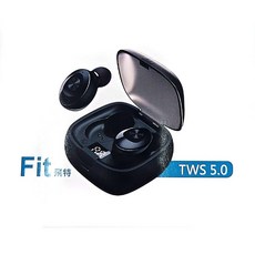 Fit Q1 真無線藍牙耳機 藍牙5.0 IPX5防水, 單色, BT-FITQ1