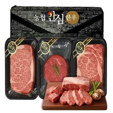 농협 안심 1등급 한우 선물세트 한우세트 구이용 냉장 선물포장 ﻿, 1세트