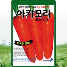 아카모리당근 씨앗 400립 조생종 다수확 봄 여름 당근씨 종자, 2개