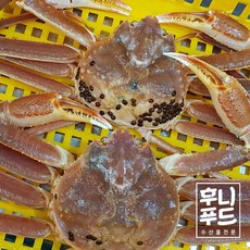 박달급 수입 활대게 1마리 1k내외 대게 활어발송, 1개