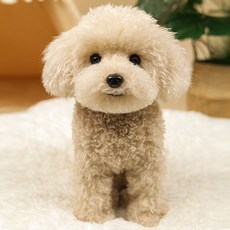 진짜같은 강아지인형 테디 비숑 푸들 대형 말티푸 귀여운 동물 선물, C. 앉은 자세 살구 테디, 27CM, 1개