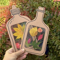 곰지마켓 유리병 자연물 병 도안 6개 세트 자연물 미술 만들기 키트, 도안B