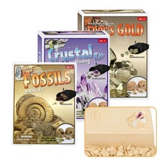 발굴체험키트, 1개