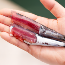 당일조업 거제 생멸치 손질 뼈제거 멸치 멸치회 조림 찌개, 1개, 500g(손질생멸치)