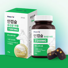 페노비스 강아지 인캡슐 영양제, 90g, 장건강/유산균, 1개