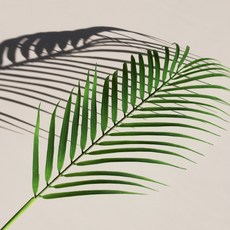 인테리어 야자 잎 꽂 조화 인조 야자잎, 야자L, 1개