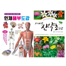 인체 해부 도감 + 사계절 산약초 도감 (전 2권)