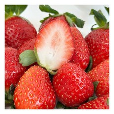 국내산 설향딸기 350g 한입185614