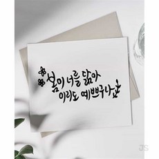 짱이싸인 문교 바른 붓펜 캘리그라피펜