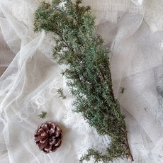 天然乾燥雪松扁柏藍柏松柏聖誕花圈素材，聖誕節裝飾，聖誕樹材料，松果橡果搭配, 1個, 小份-綠油油, 綠油油