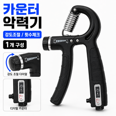 루나틱 무게조절 카운트 악력기 일반형 손목강화 전완근 트레이닝, 1개, 블랙