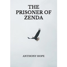 The Prisoner of Zenda Paperback, Independently Published, English, 9798739492210