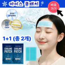 [짱시원] 붙이는 아이스 쿨패치 쿨팩 쿨링 장시간 시원함 2025년 제조 상품, 2개