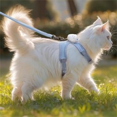 고양이 리드줄 탈출 방지 외출 전용 고양이 리드줄 가슴 하네스 체인, 푸른 색, 2개