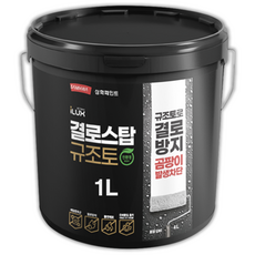삼화페인트 아이럭스 결로스탑 규조토 친환경 수용성 결로방지 곰팡이방지, 1개, 1L, 백색